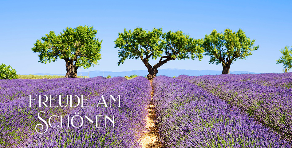 Gewandhaus Gruber in Erding