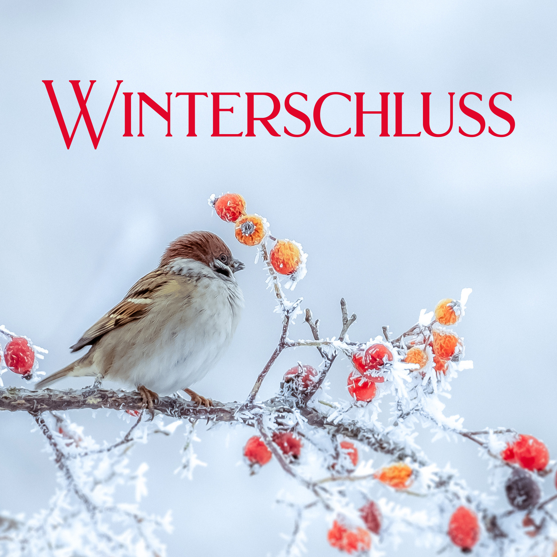 Winterschluss in Erding, Wasserburg, Dorfen und Freising