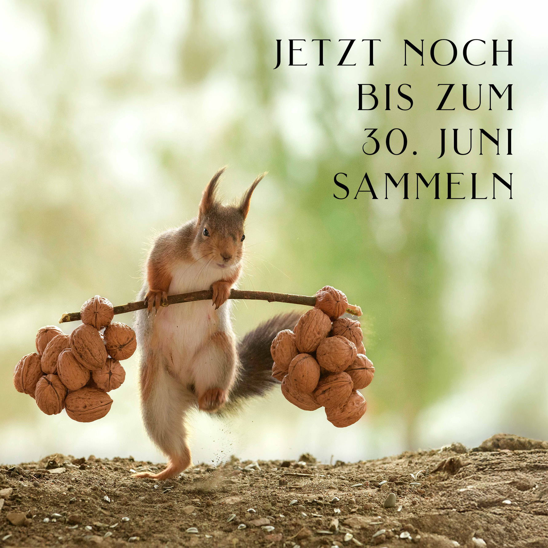 Jetzt noch sammeln und BoNuss sichern!