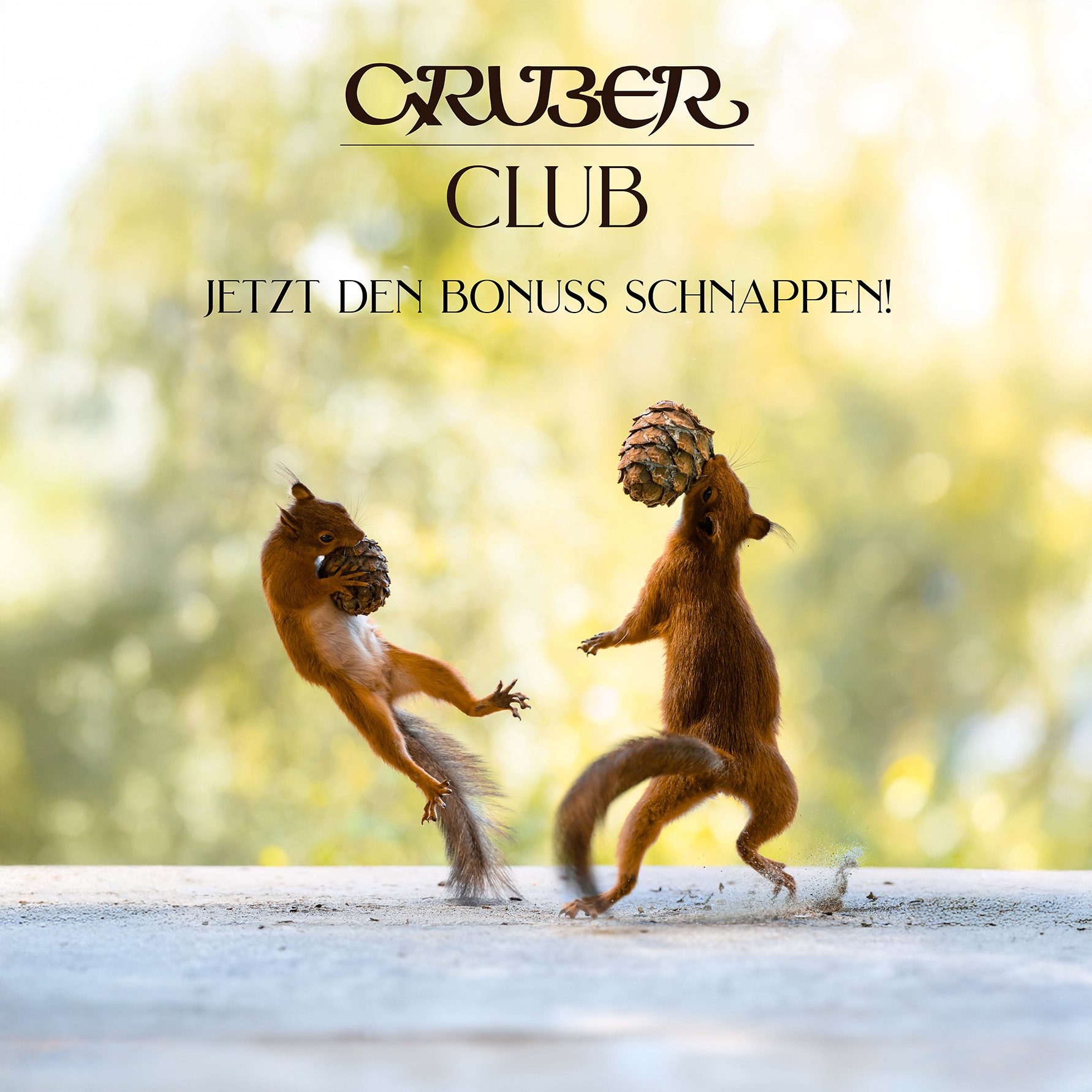 Jetzt den BoNuss schnappen in der Gruber Club App